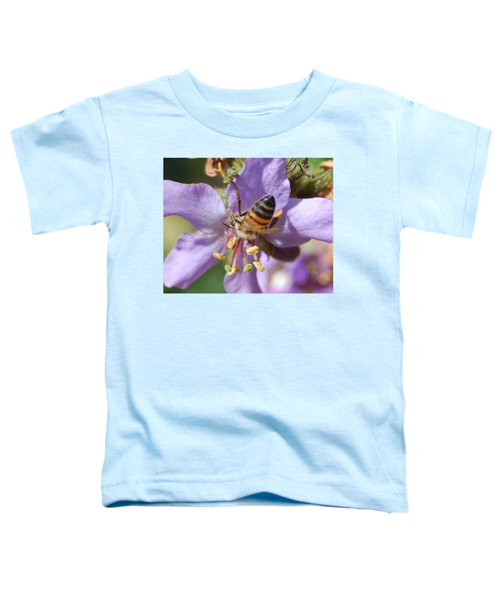 Bees Toddler T-Shirt featuring the photograph Pollinating 4 by Amy Fose