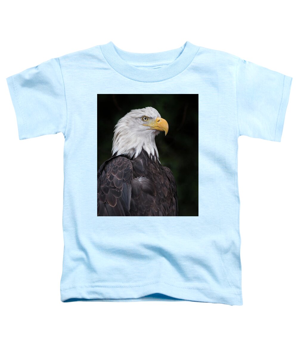 Juneau Toddler T-Shirt featuring the photograph Portrait of Juneau 4 by Greg Nyquist