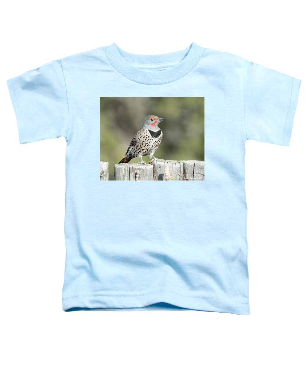 Natanson Toddler T-Shirt featuring the photograph Posing by Steven Natanson