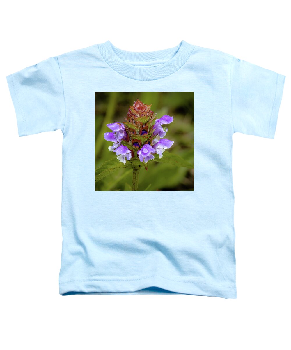 #wisconsin #outdoor #fineart #landscape #photograph #wisconsinbeauty #doorcounty #doorcountybeauty #sony #canonfdglass #beautyofnature #history #metalman #passionformonotone #homeandofficedecor #streamingmedia #macrophotpgraphy Toddler T-Shirt featuring the photograph Purple Pride #2 by David Heilman