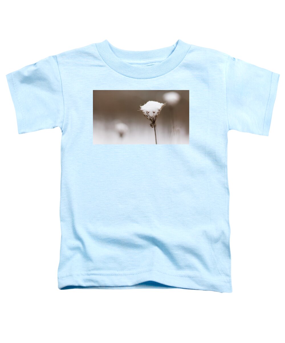 Wildflower Toddler T-Shirt featuring the photograph Queen Anne in the Snow by Holly Ross