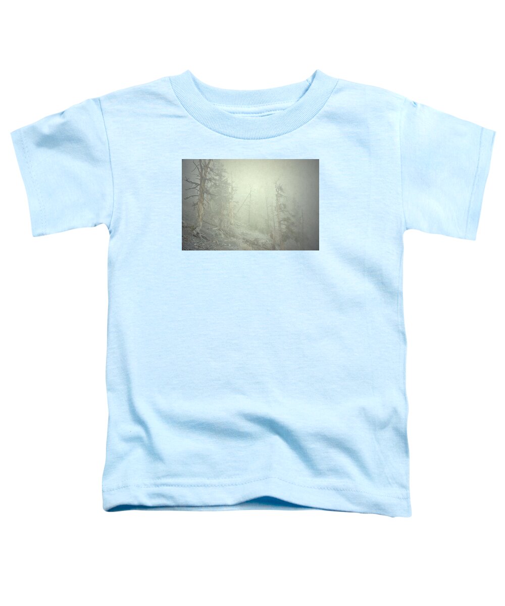 Cloud Toddler T-Shirt featuring the photograph Quiet Type by Mark Ross