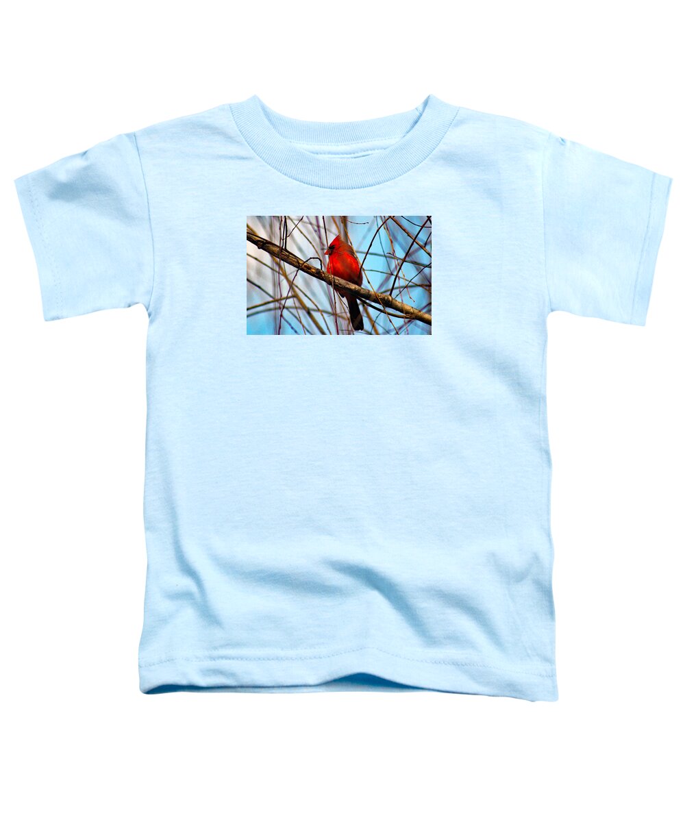 Redbird Toddler T-Shirt featuring the photograph Red Bird Sitting Patiently by DB Hayes