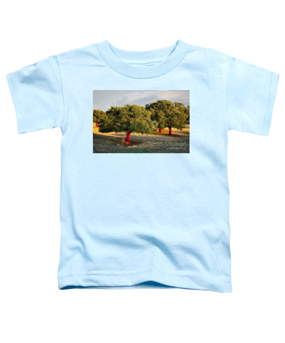 Sardegna Toddler T-Shirt featuring the photograph Redd Rover by Phil Cappiali Jr