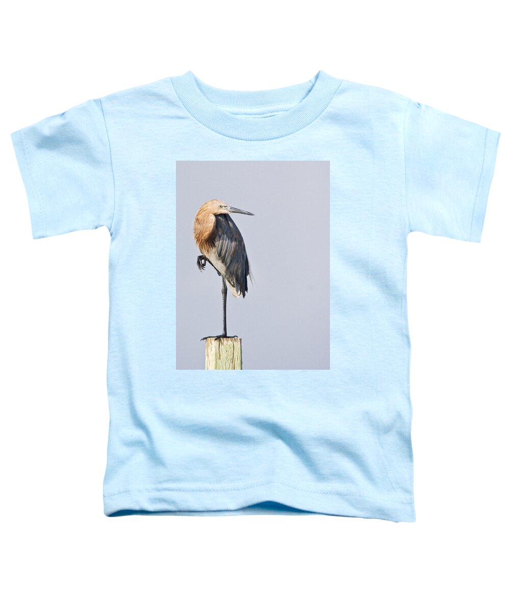 Reddish Toddler T-Shirt featuring the photograph Reddish Egret on Coastal Carolina Piling by Bob Decker