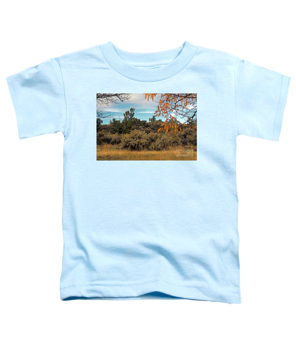 Sagebrush Toddler T-Shirt featuring the photograph Sagebrush and Lava by Cindy Murphy - NightVisions