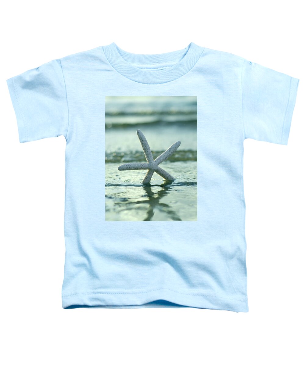 Starfish Toddler T-Shirt featuring the photograph Sea Star Vert by Laura Fasulo