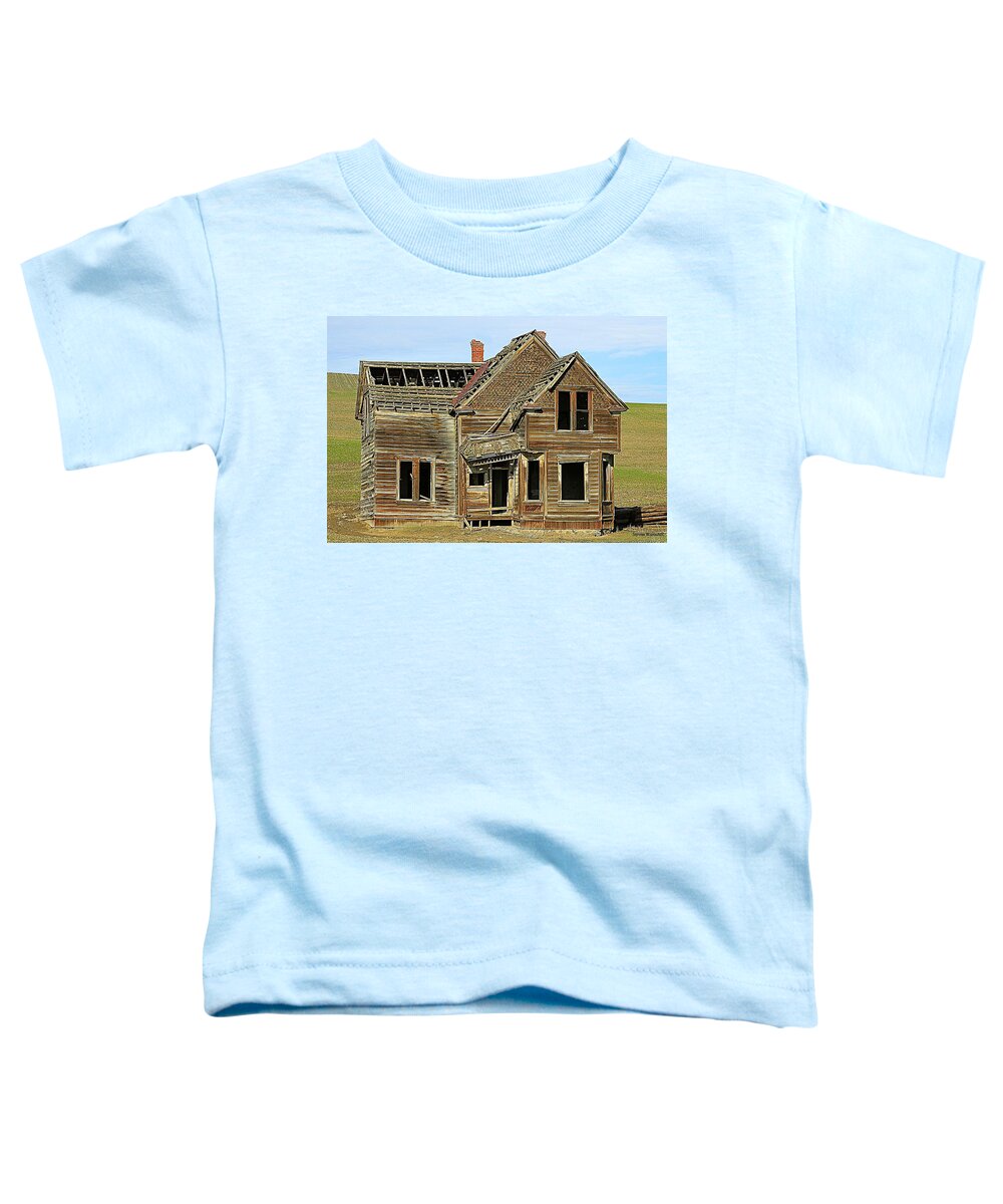 Oregon Toddler T-Shirt featuring the photograph Sears and Roebuck by Steve Warnstaff