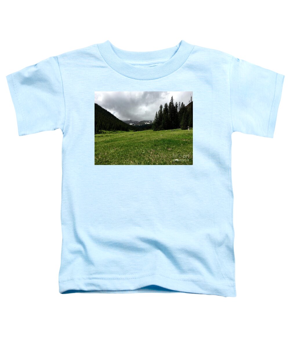 Nature Toddler T-Shirt featuring the photograph Snow Clouds by Dennis Richardson