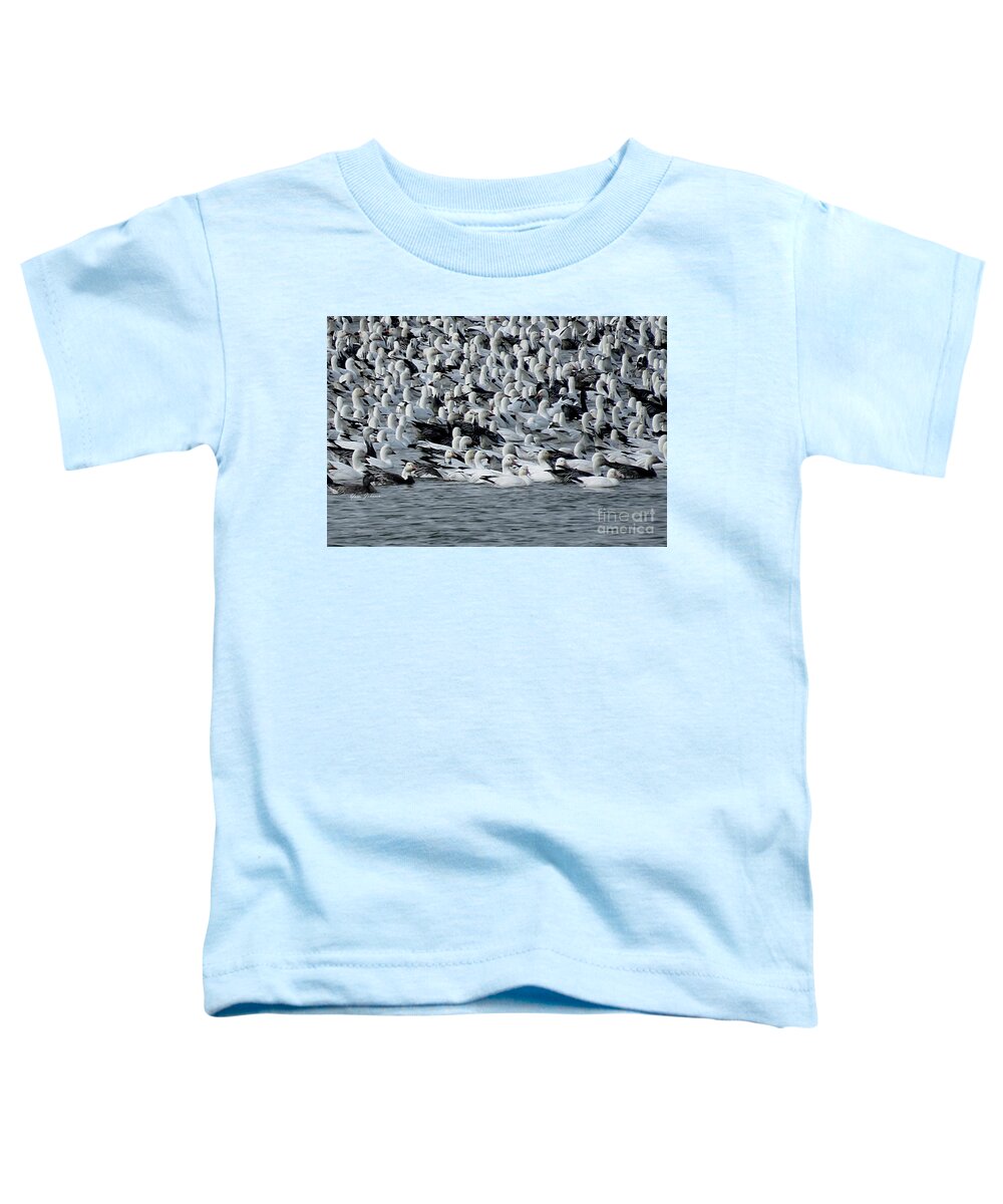 Birds Toddler T-Shirt featuring the photograph Snow Goose by Yumi Johnson