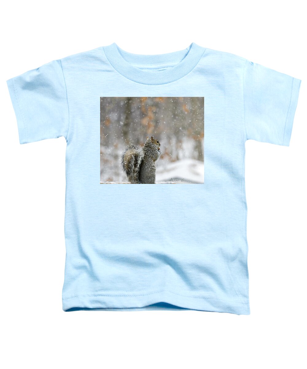 Snow Squirrel Toddler T-Shirt featuring the photograph Snow Squirrel by Diane Giurco