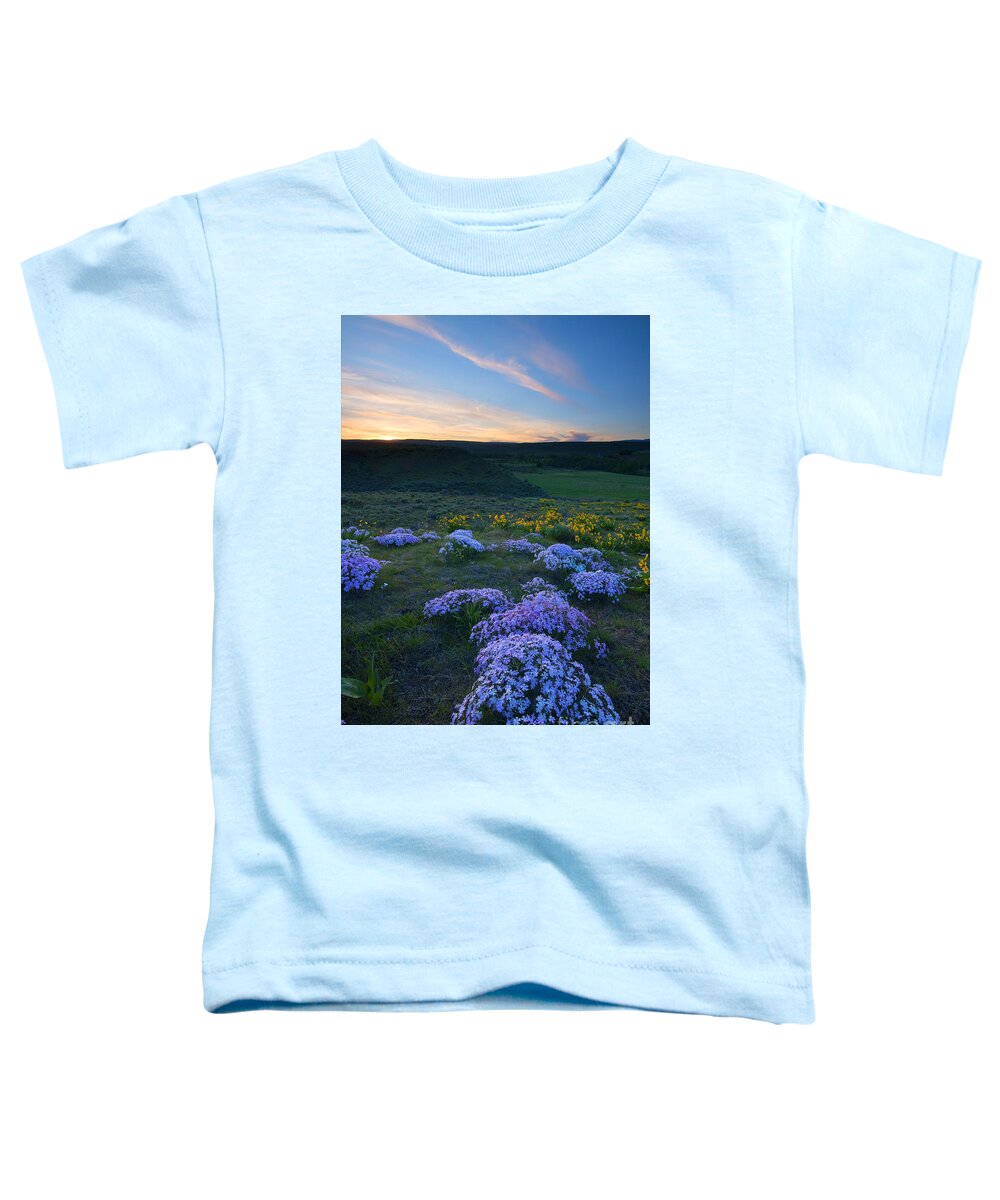 Snowy Phlox Toddler T-Shirt featuring the photograph Snowy Phlox Sunset by Michael Dawson