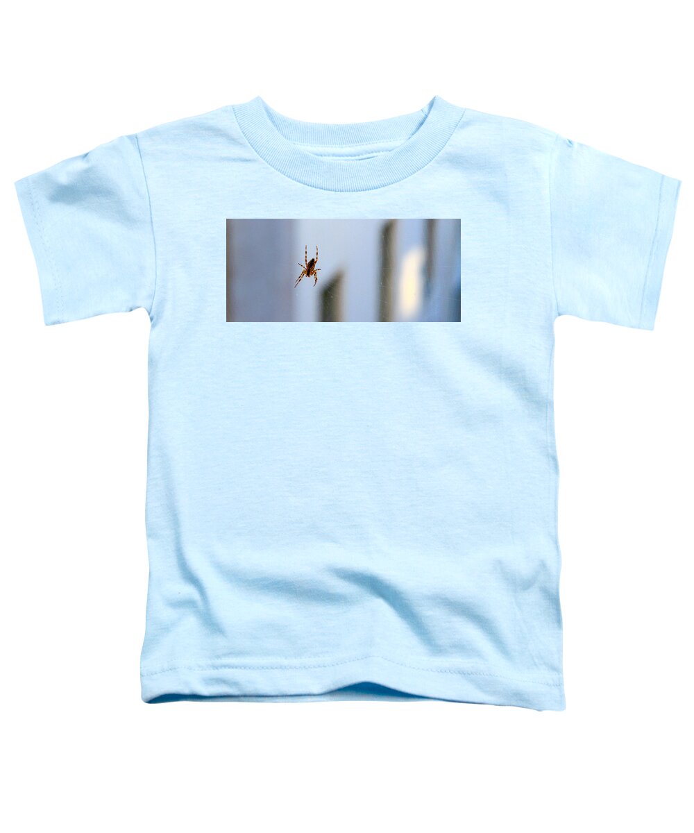 Bonnie Follett Toddler T-Shirt featuring the photograph Spider Hello Panorama by Bonnie Follett