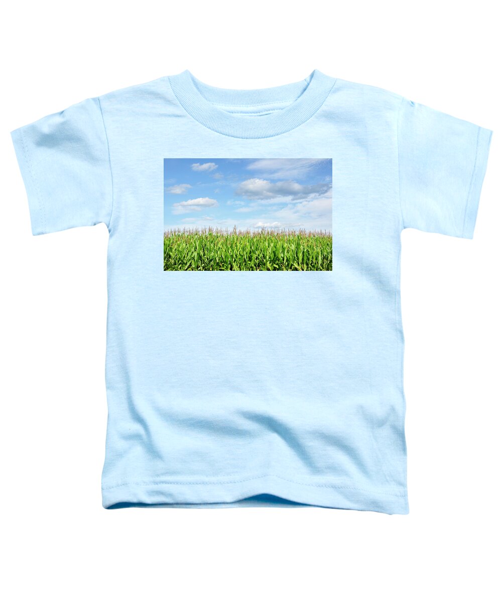 Cornfield Toddler T-Shirt featuring the photograph Summer Cornfield by Luke Moore