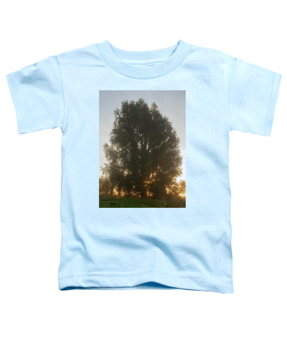 Sun Toddler T-Shirt featuring the photograph Sun Rays by Nick Atkin