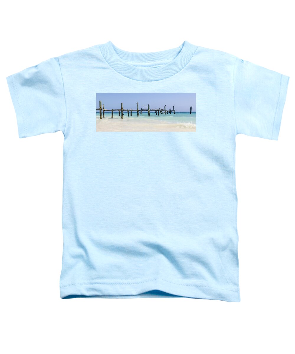 Beach Art Toddler T-Shirt featuring the photograph Mexico Beach Panoramic by Alanna DPhoto