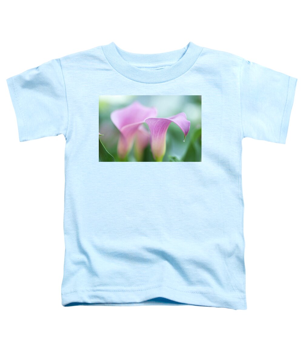 Jenny Rainbow Fine Art Photography Toddler T-Shirt featuring the photograph The Only One by Jenny Rainbow