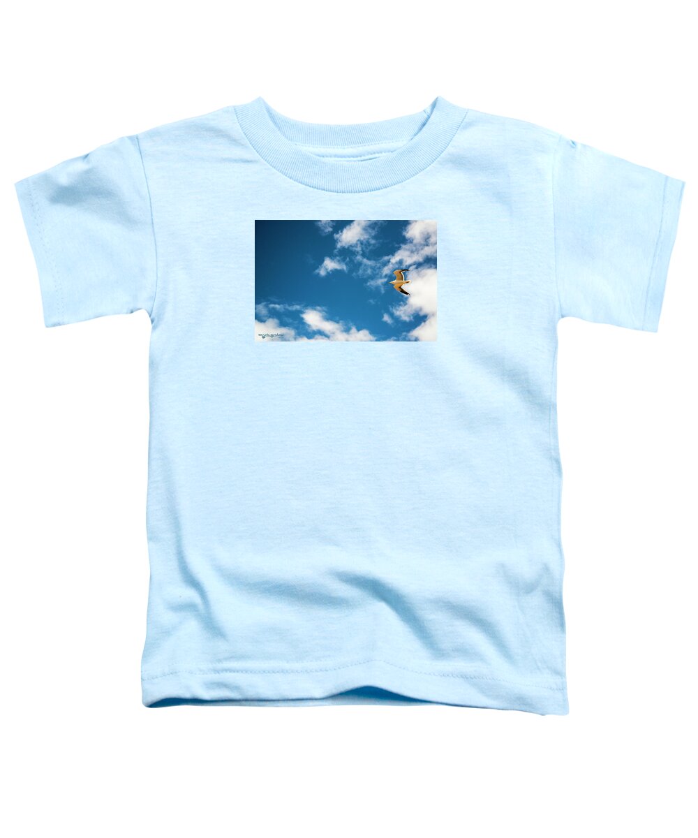 Jigsaw Toddler T-Shirt featuring the photograph The Sky's the Limit by Carole Gordon