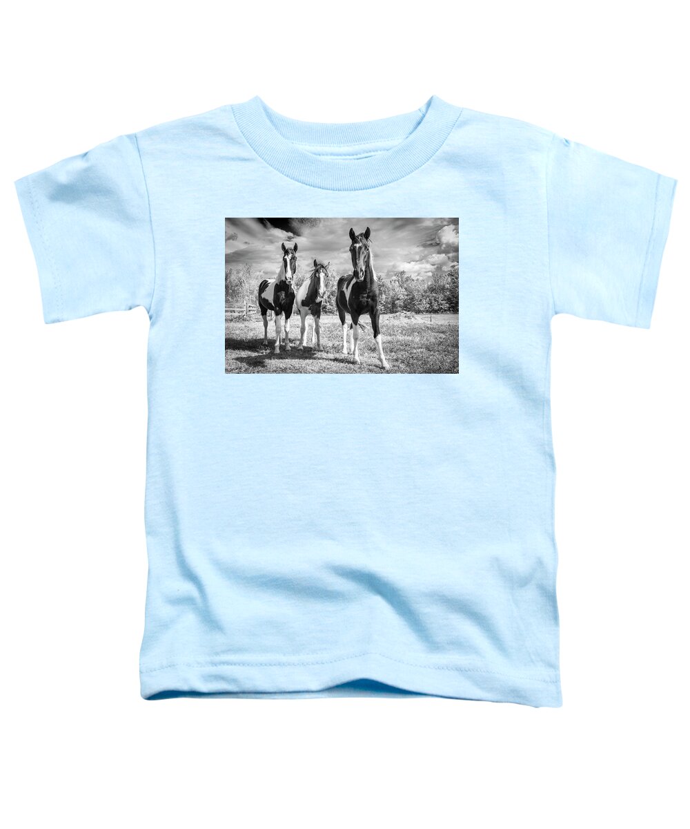 Horses Toddler T-Shirt featuring the photograph Three Amigos by Holly Ross