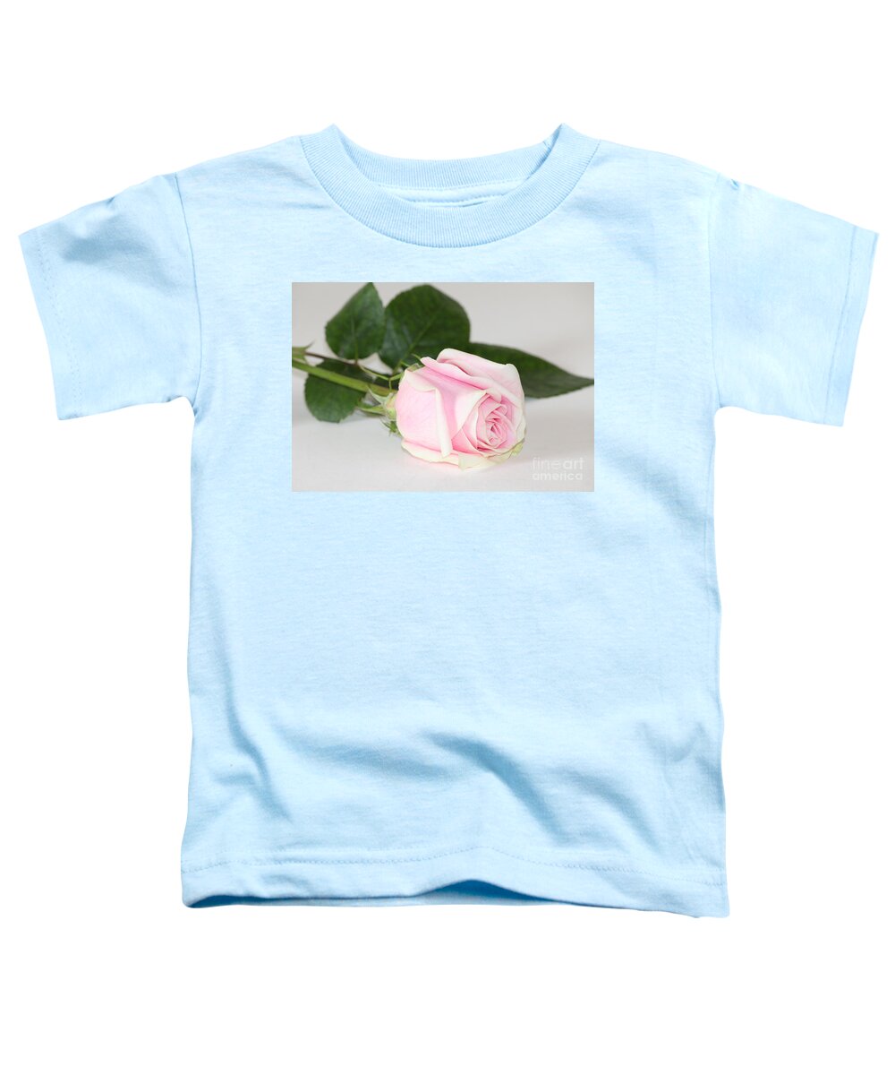 Rose Toddler T-Shirt featuring the photograph Touch of Love by Anita Oakley