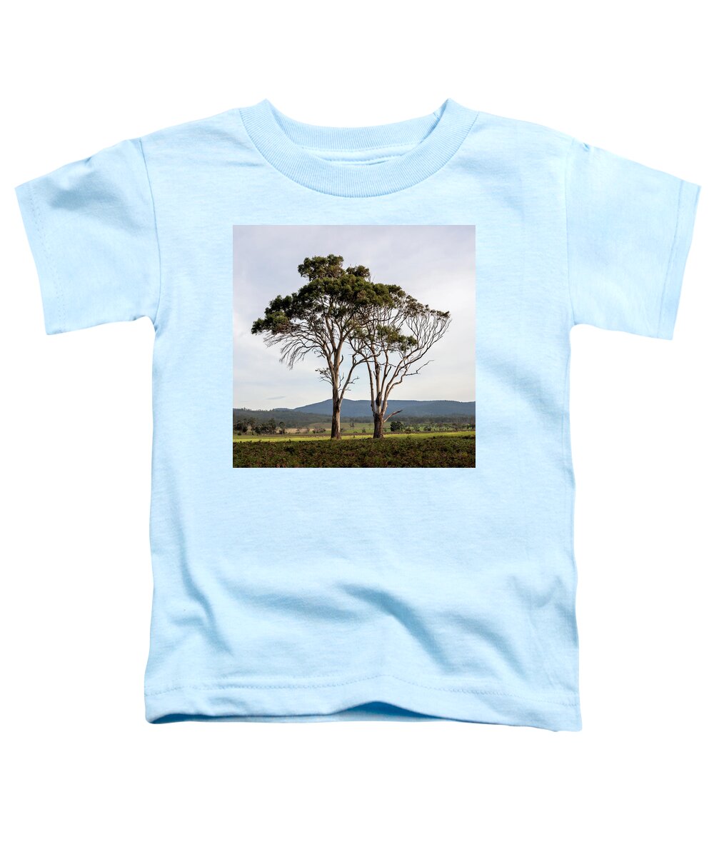 Trees Toddler T-Shirt featuring the photograph Tree Duo by Anthony Davey