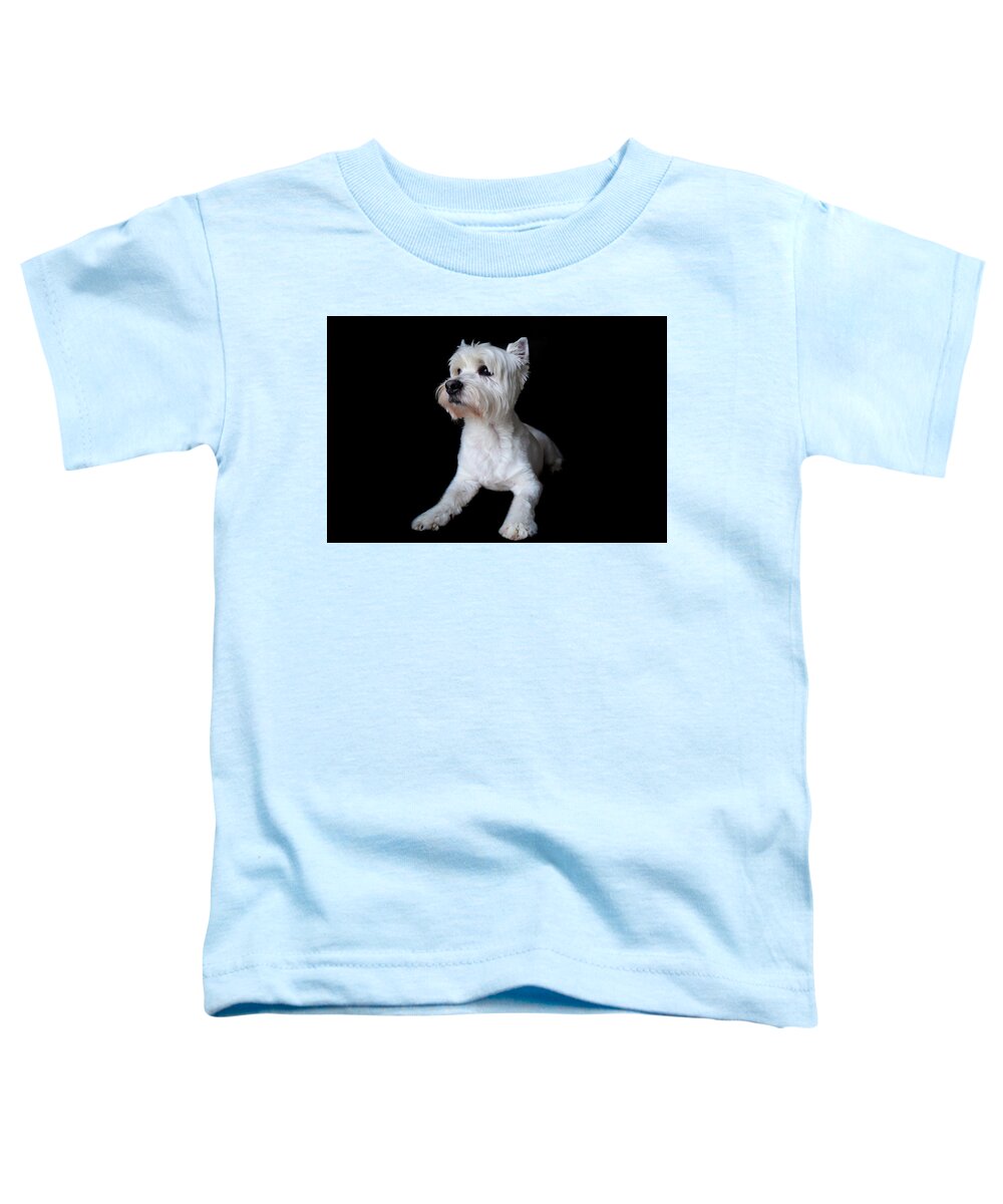 Westie Toddler T-Shirt featuring the photograph Trot Posing by Nicole Lloyd
