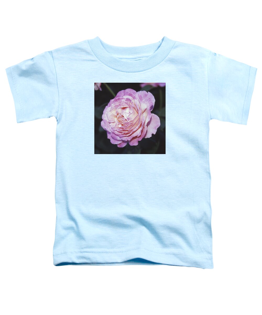 Rose Toddler T-Shirt featuring the photograph Velvia Rose by HW Kateley
