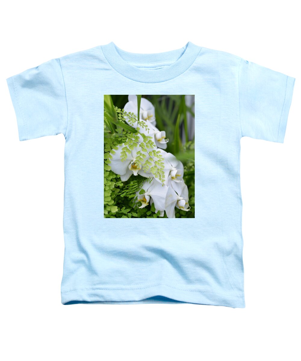 Ferns Toddler T-Shirt featuring the photograph White Orchids by Ronda Broatch