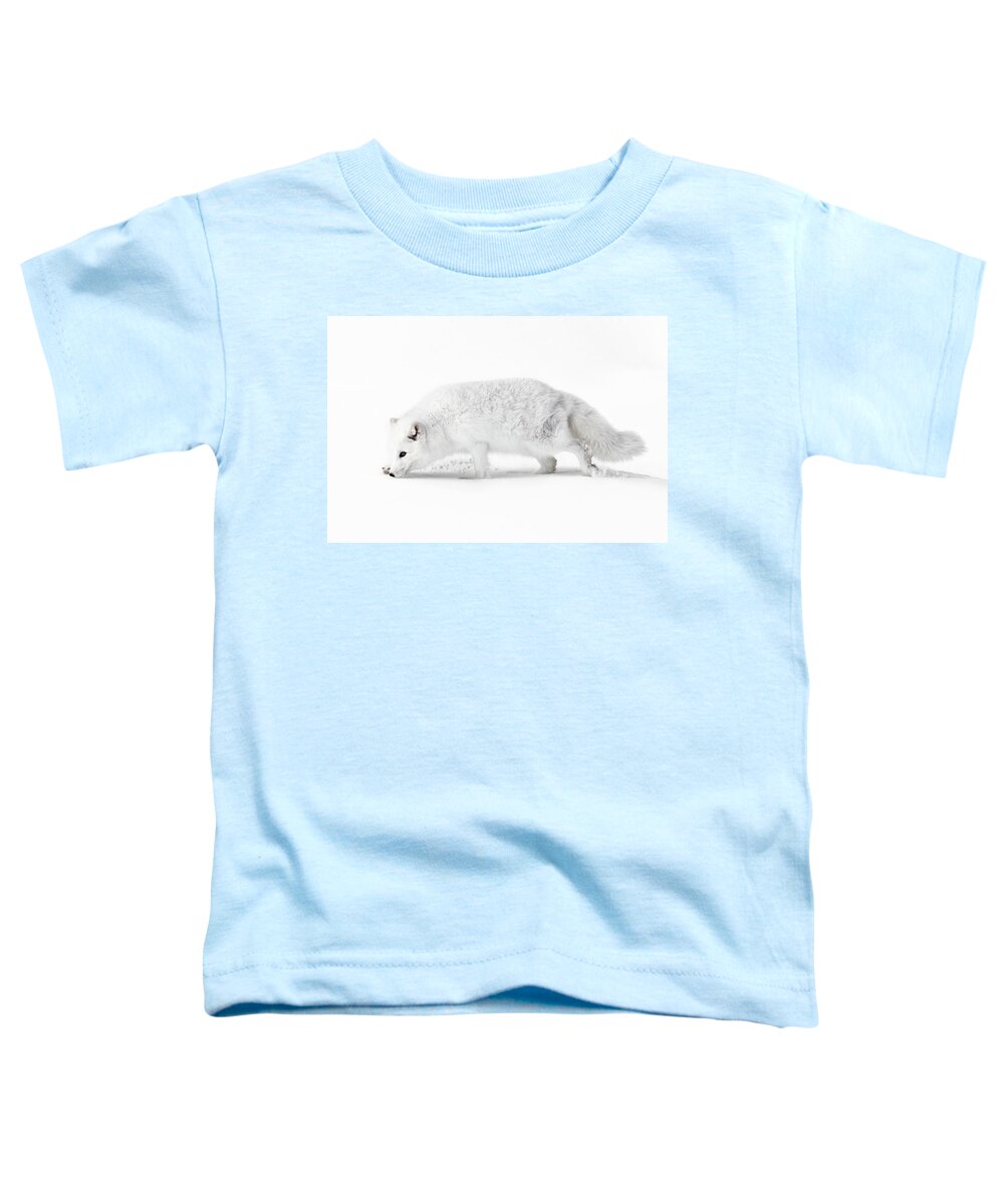 White Walker Toddler T-Shirt featuring the photograph White Walker by Wes and Dotty Weber