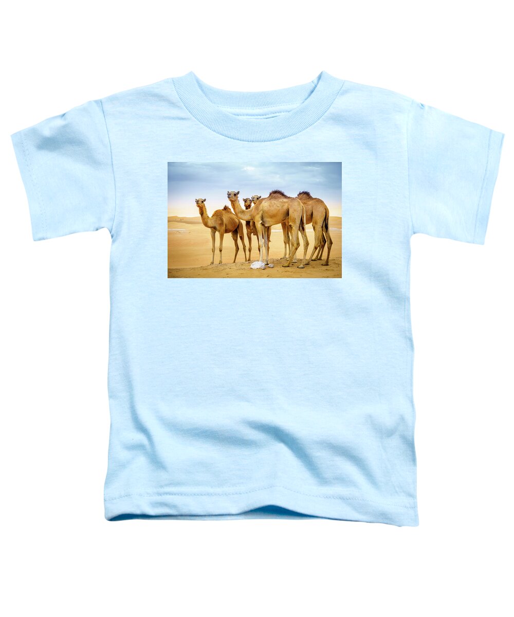 Abu Dhabi Toddler T-Shirt featuring the photograph Wild camels in the desert by Alexey Stiop