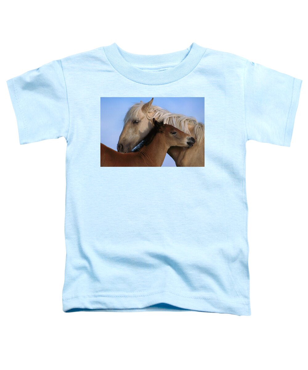 00340033 Toddler T-Shirt featuring the photograph Wild Mustang Filly and Foal by Yva Momatiuk and John Eastcott