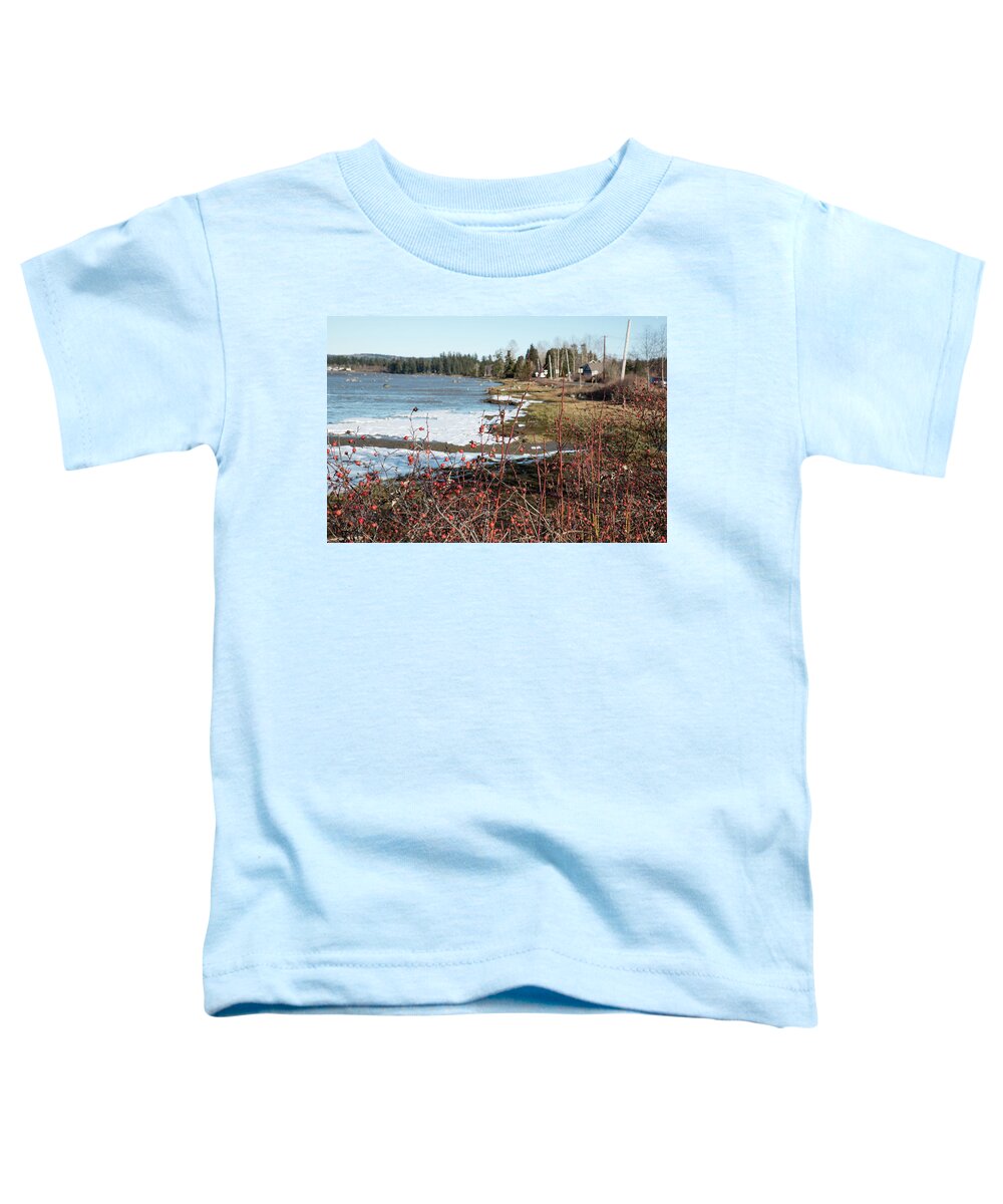 Wild Roses And Ice Crusts Toddler T-Shirt featuring the photograph Wild Roses and Ice Crust by Tom Cochran