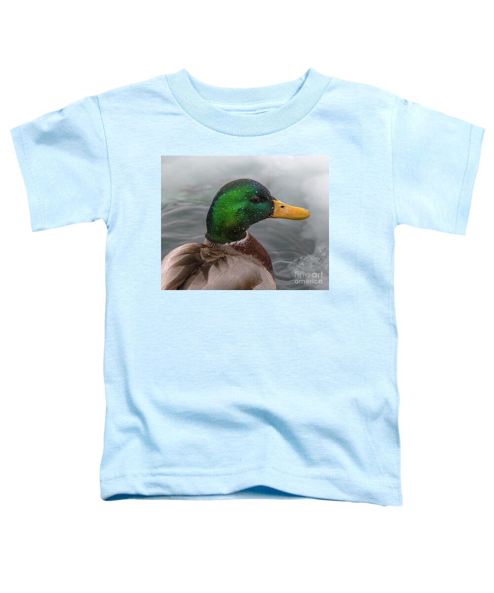 Wildlife Toddler T-Shirt featuring the photograph Wildlife Duck Mallard -7089 by Norris Seward