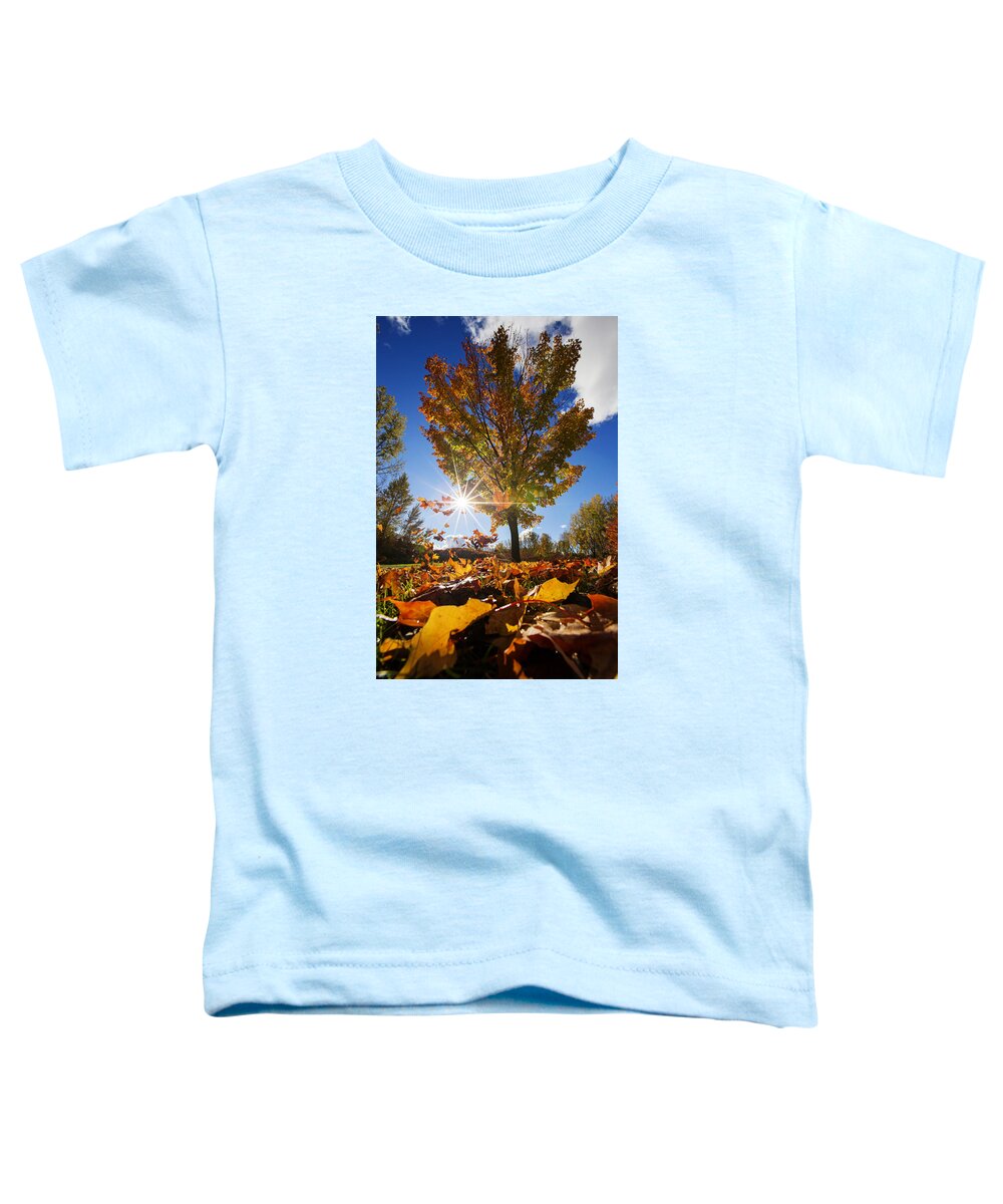 Autumn Toddler T-Shirt featuring the photograph Windy day by Mircea Costina Photography