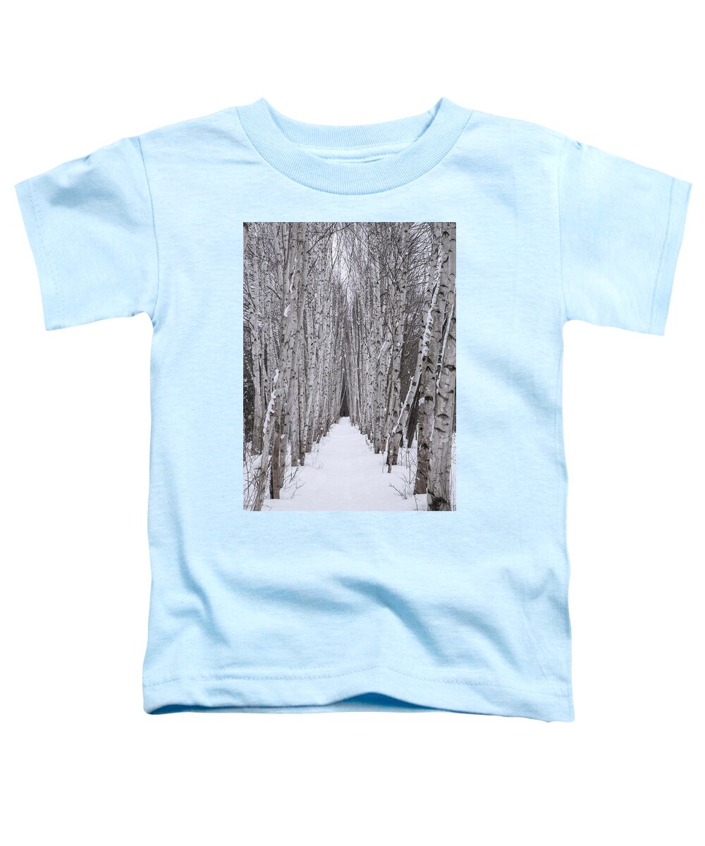 Winter Toddler T-Shirt featuring the photograph Winter Birch Path by White Mountain Images