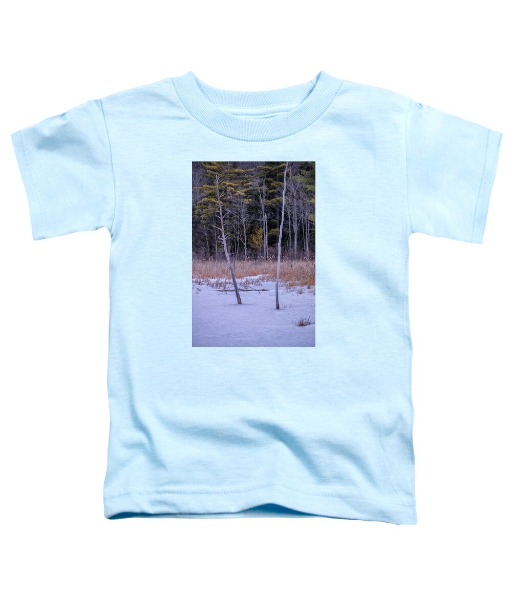 Spofford Lake New Hampshire Toddler T-Shirt featuring the photograph Winter Marsh And Trees by Tom Singleton