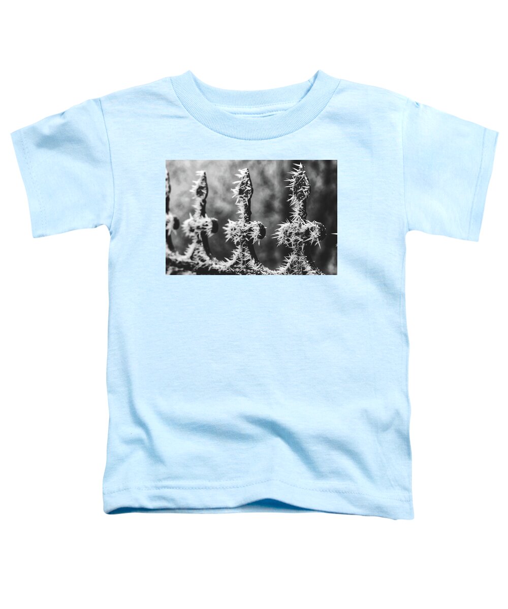 Winter Toddler T-Shirt featuring the photograph Winter's Artwork by Mountain Dreams