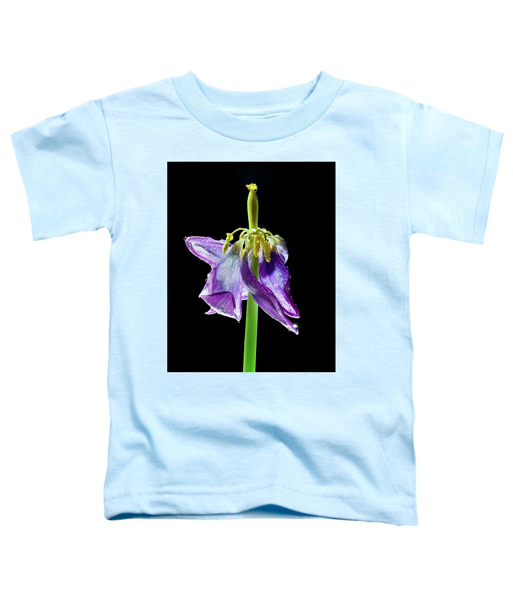 Tulip Toddler T-Shirt featuring the photograph Withering Beauty by Adam Reinhart