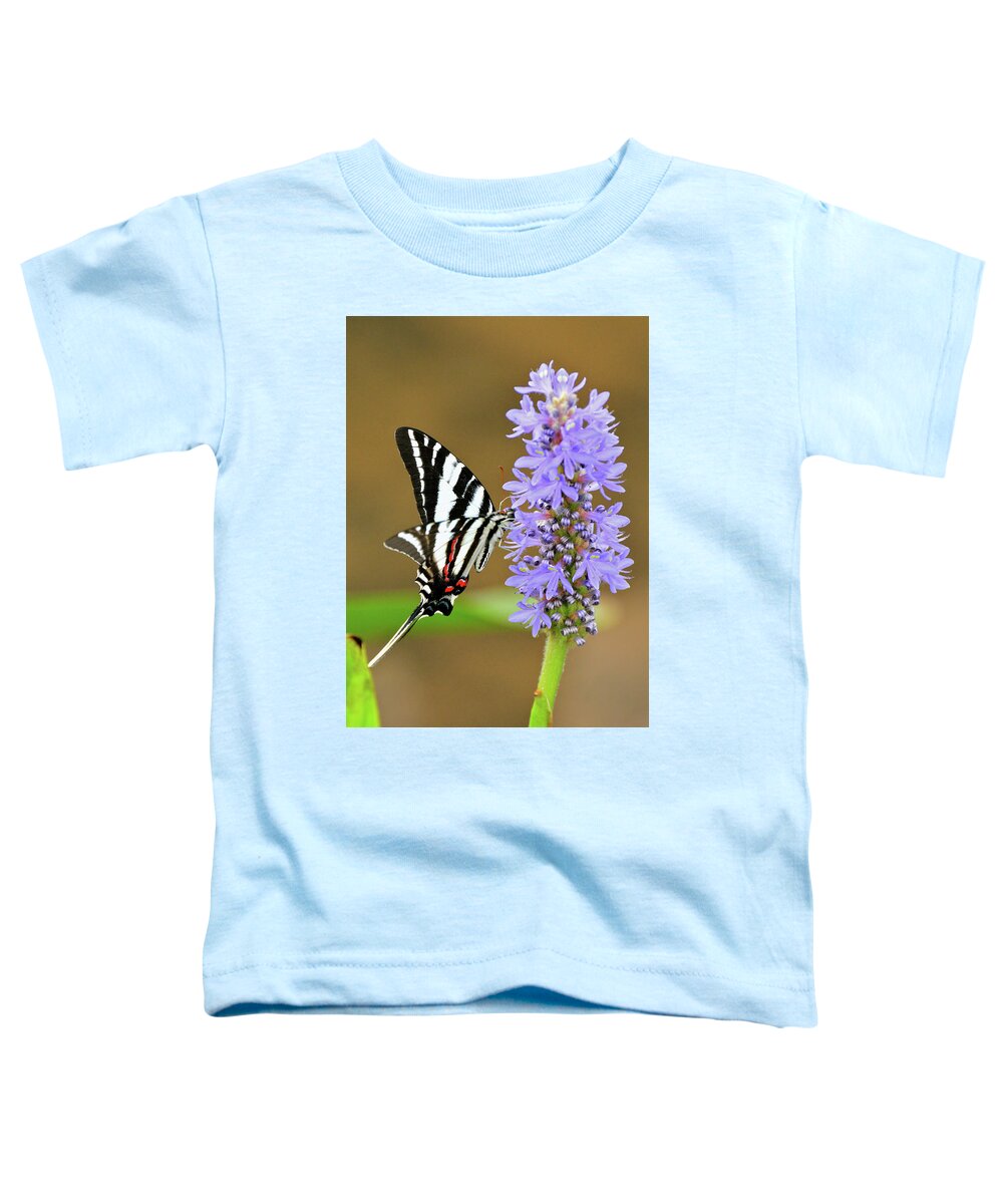 Zebra Swallowtail Toddler T-Shirt featuring the photograph Zebra Swallowtail by Don Mercer