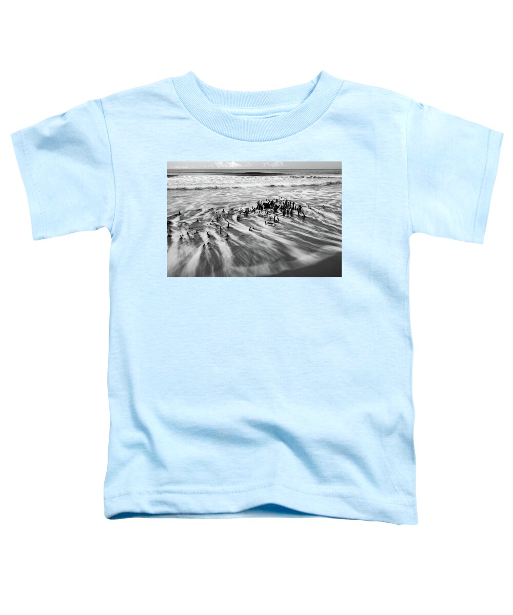 Beach Toddler T-Shirt featuring the photograph Hunting Island South Carolina Beach Scenes #11 by Alex Grichenko