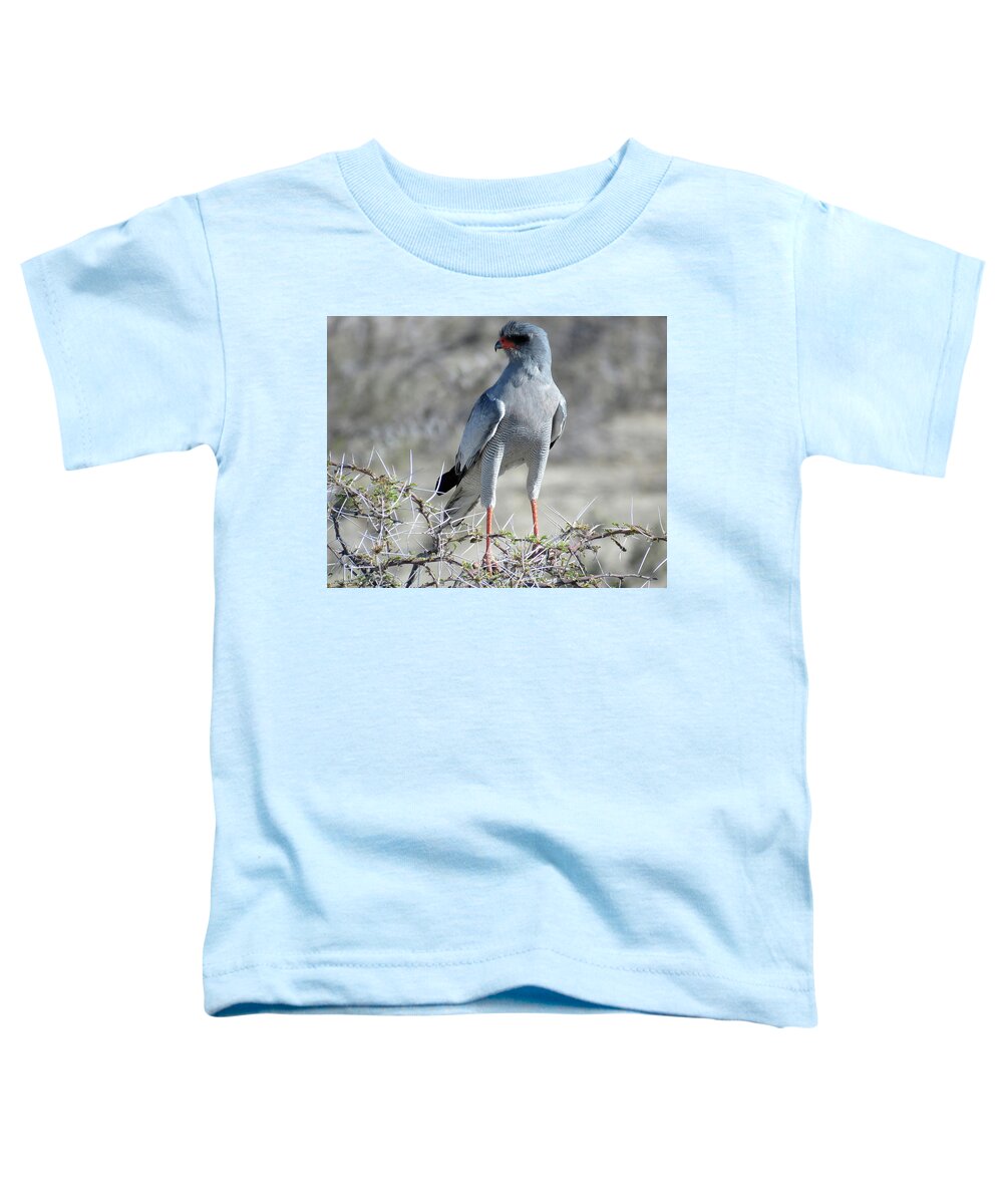 Africa Toddler T-Shirt featuring the photograph Bird #2 by Eric Pengelly