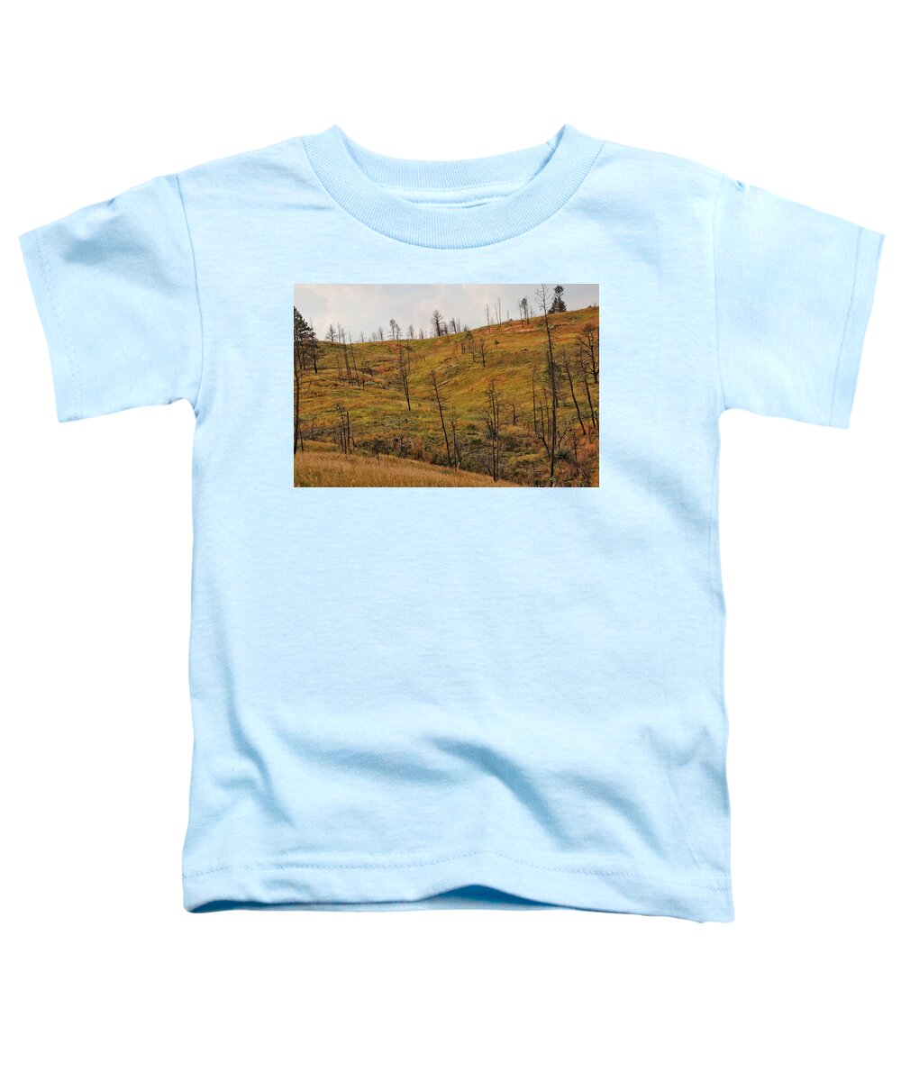 Custer State Park South Dakota Toddler T-Shirt featuring the photograph Custer State Park South Dakota #5 by Susan Jensen