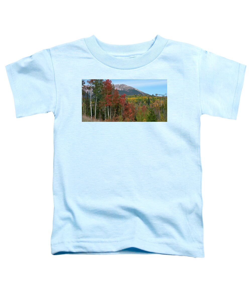 Autumn Toddler T-Shirt featuring the photograph A Brilliant Colorado Autumn by Cascade Colors