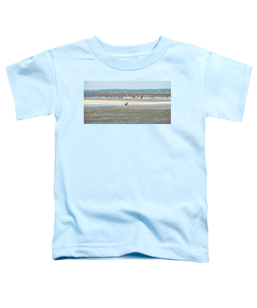 Brown Toddler T-Shirt featuring the photograph Abstract Pelicans In Flight At The Beach Of Atlantic Ocean by Alex Grichenko