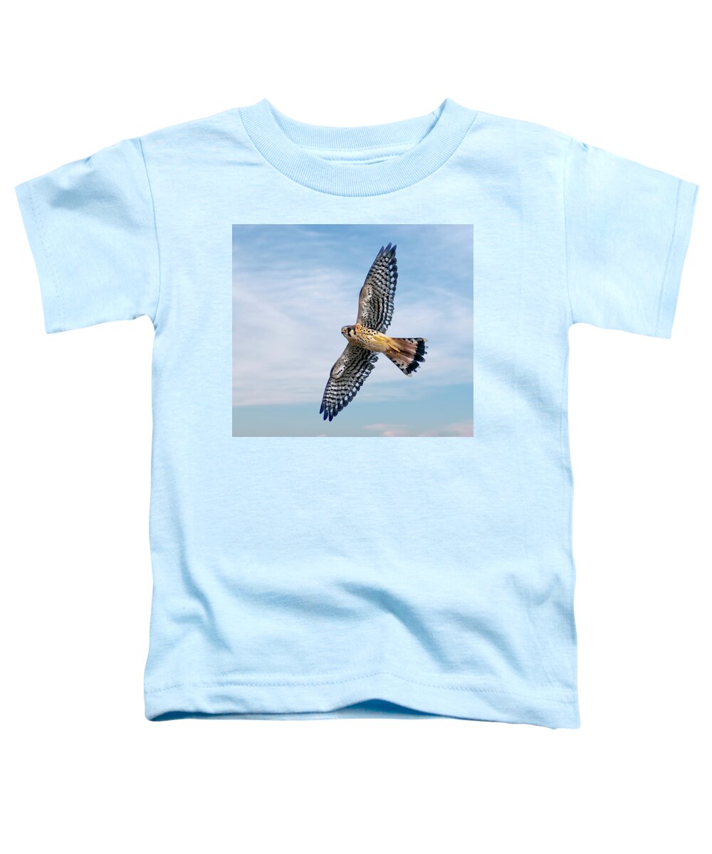 Kestrel Toddler T-Shirt featuring the photograph American Kestrel by Rick Mosher