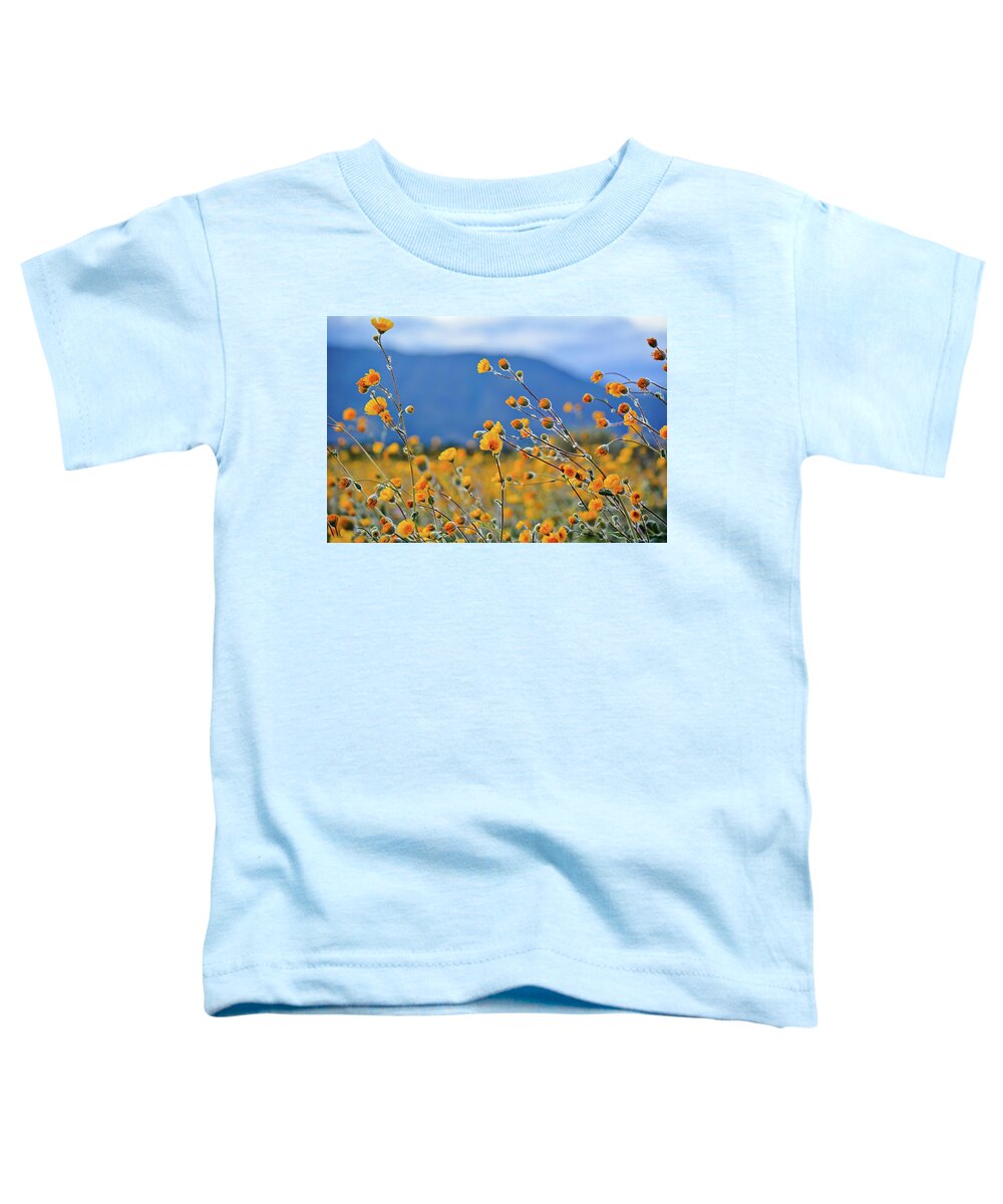 Anza Borrego Desert State Park Toddler T-Shirt featuring the photograph Anza Borrego Wild Desert Sunflowers by Kyle Hanson