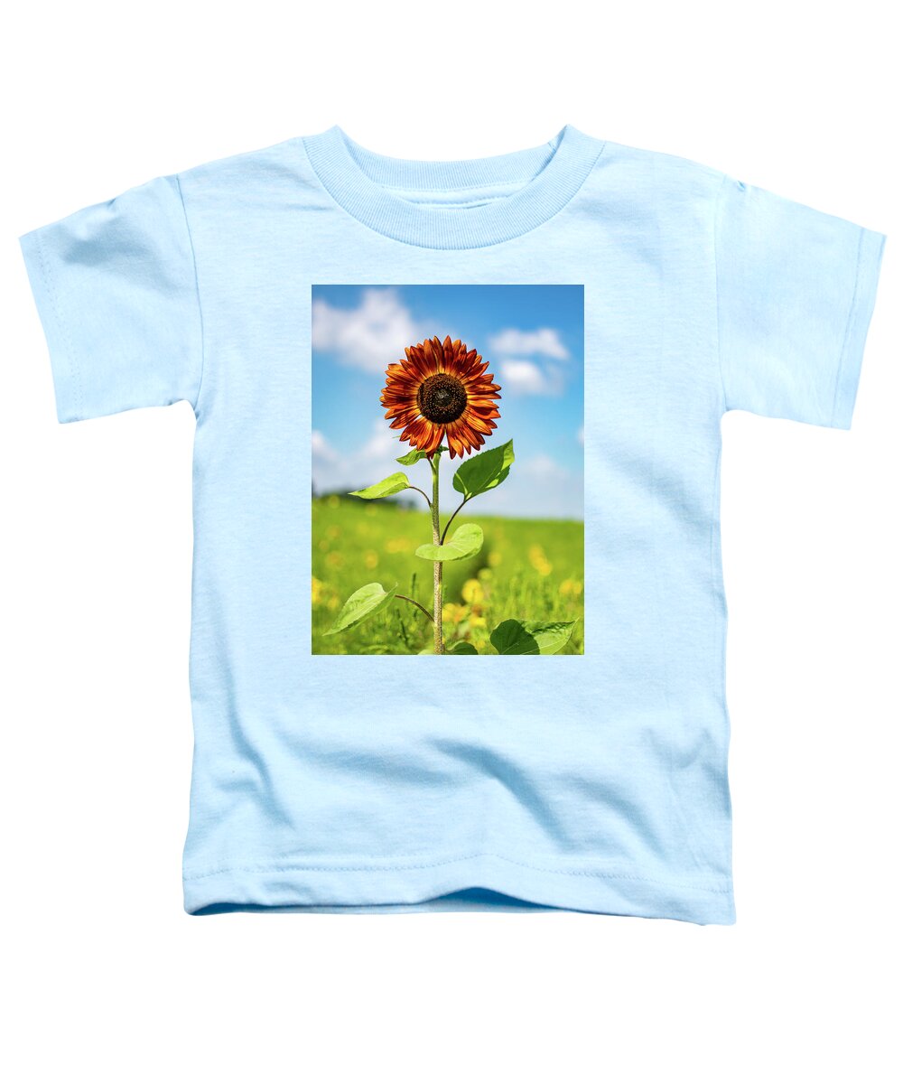 Sunflower Toddler T-Shirt featuring the photograph Autumn Beauty Sunflower by Rose Guinther