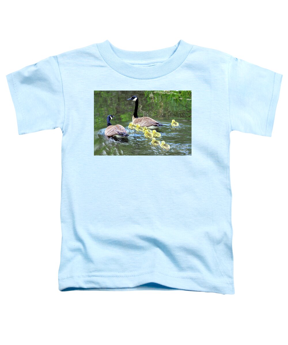 Branta Canadensis Toddler T-Shirt featuring the photograph family of Canada geese in water swimming with eight goslings by Robert C Paulson Jr