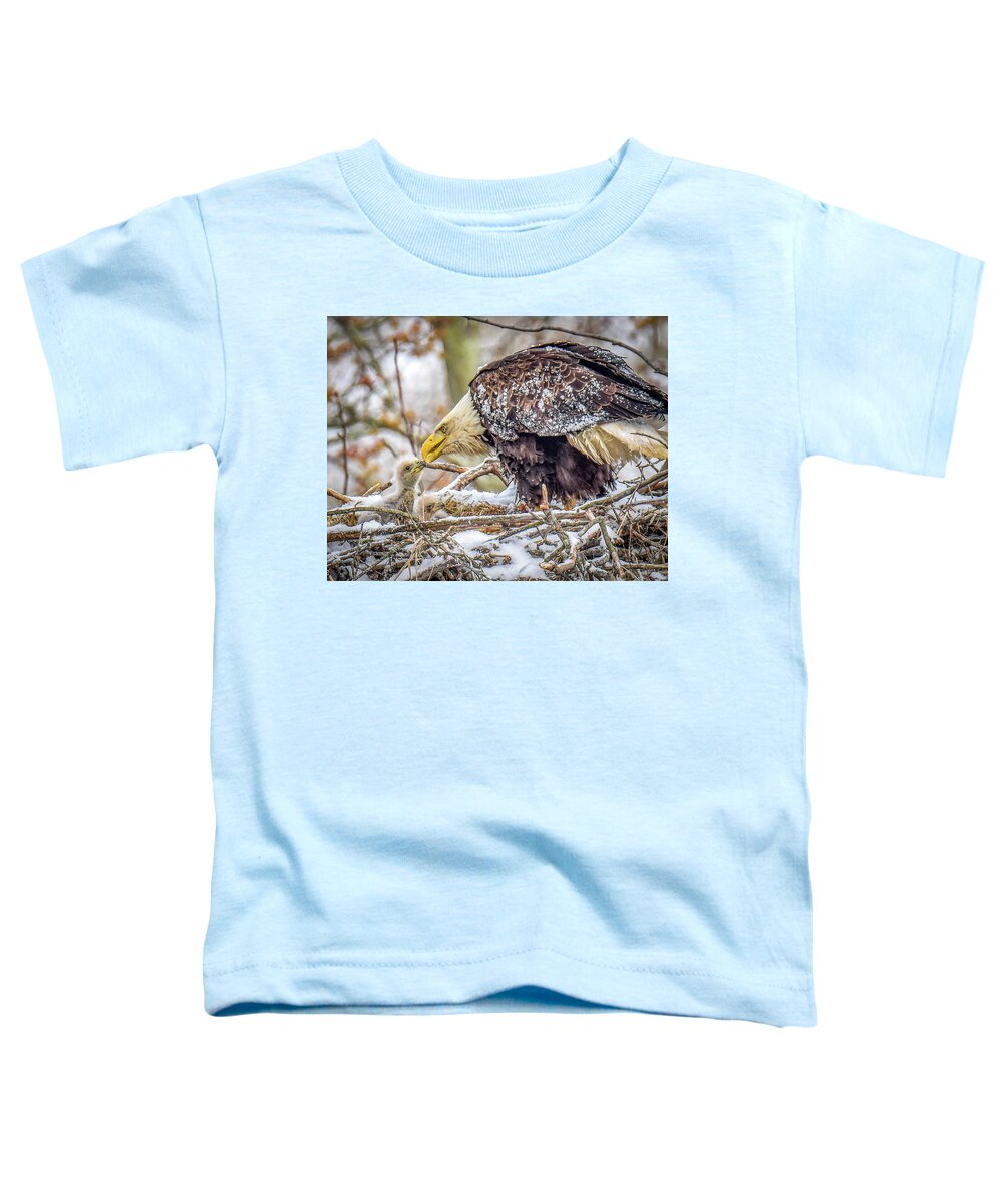 Baby Bird Toddler T-Shirt featuring the photograph Feeding Time by Michelle Wittensoldner