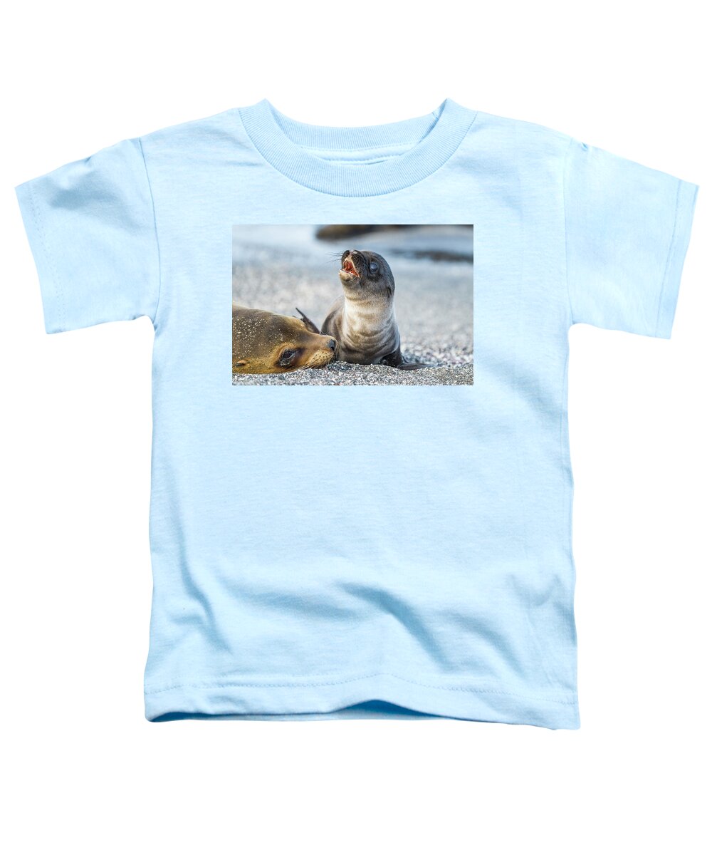 Animal Toddler T-Shirt featuring the photograph Galapagos Sea Lion Pup Calling Mother by Tui De Roy